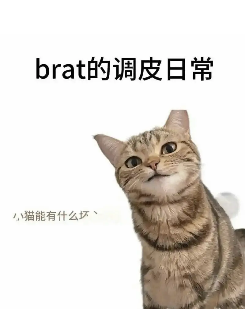 西檬之家-Ddlg是什么？你的字母圈属性是什么？