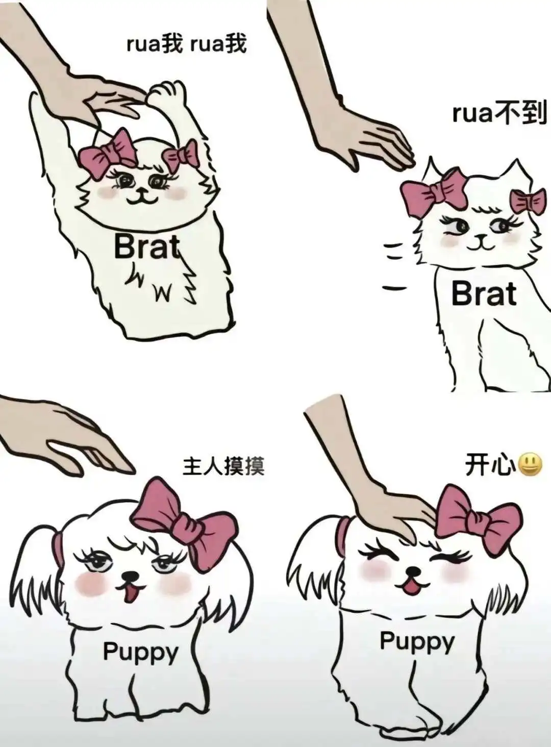 【西檬之家】字母圈TK是什么意思？BDSM轻互动玩法指南