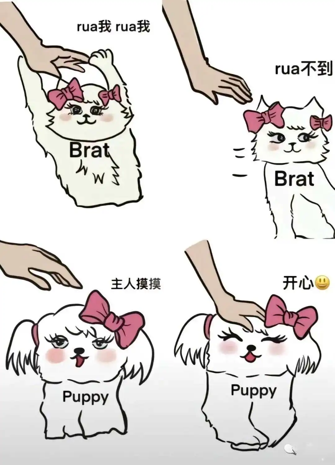 西檬之家- ddlg是什么？你的字母圈属性是什么？