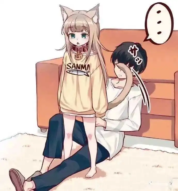 西檬之家-k8猫系是什么意思？