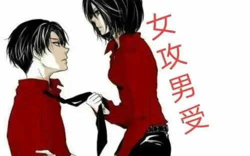 西檬之家-BD是什么？它是怎么运作的？新人入圈指南