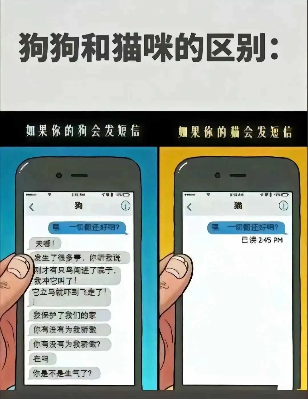【西檬之家】字母圈新人入圈：掌握BDSM核心原则与术语解析