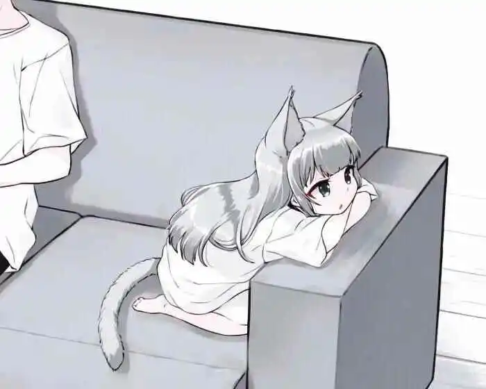 西檬之家-K8猫系是什么意思？字母圈新人百科