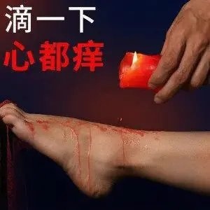 【西檬之家】字母圈新人入圈指南：从基础术语到实践原则