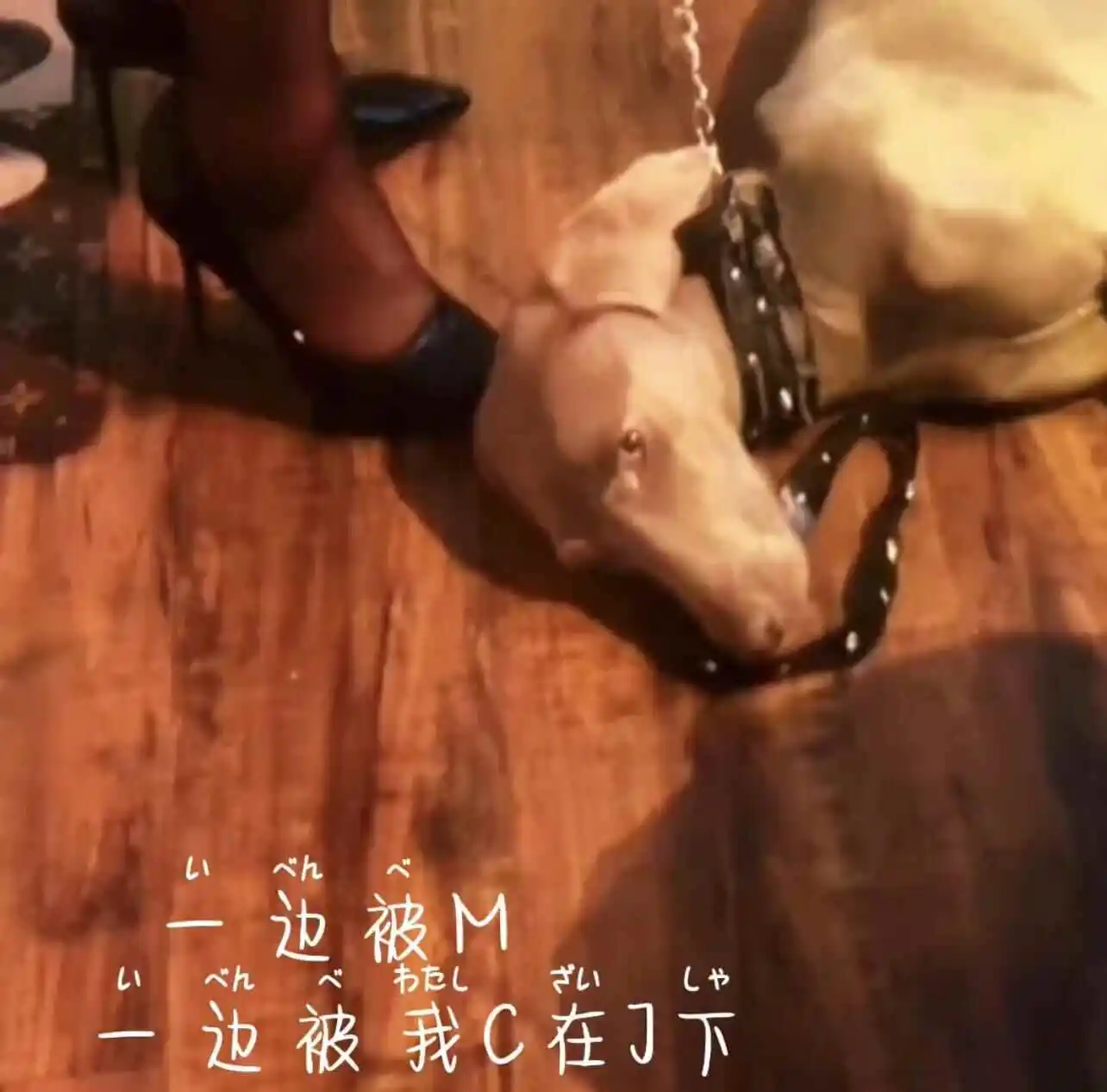 【西檬之家】OTK是什么意思？字母圈新人必知的跨膝惩戒指南