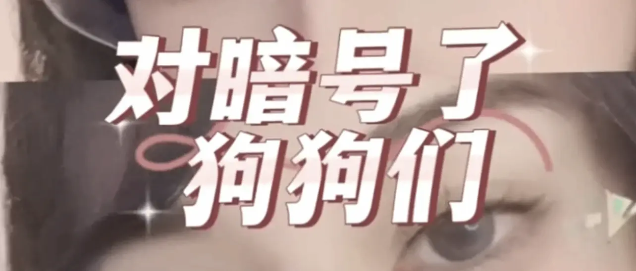 西檬之家-k8是什么？字母圈新人必知的猫系角色指南