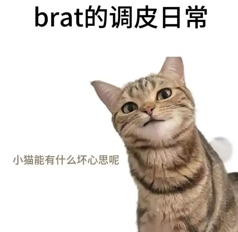 【西檬之家】BDSM新手入门：Sp是什么意思？如何安全实践